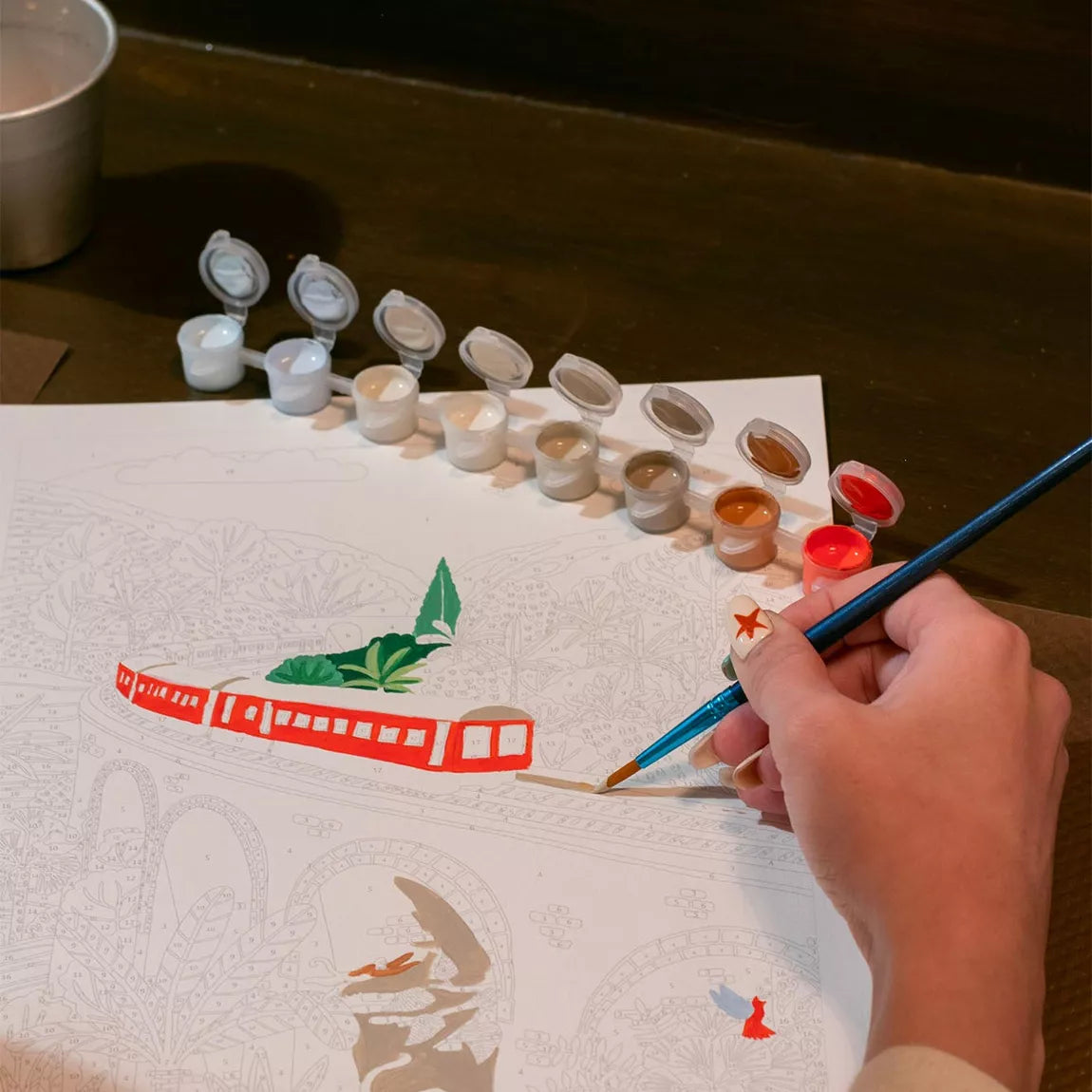 Coffret de peinture au numéro - Sri Lanka